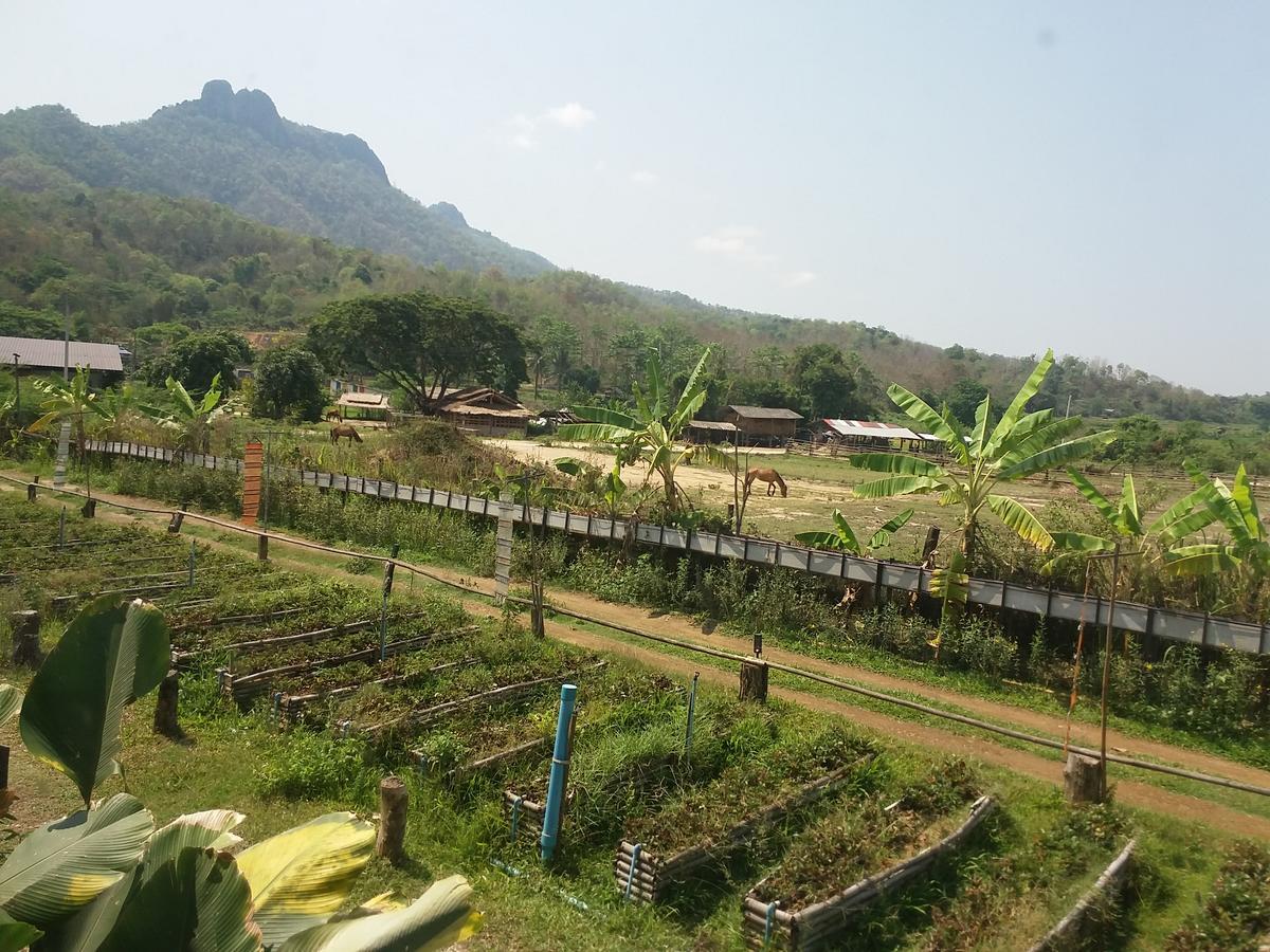 Him Doy Muang Pan Resort ฮิมดอยเมืองปานรีสอร์ท Ban Sop Pan المظهر الخارجي الصورة
